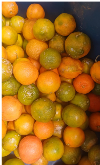 Mandarina Limón