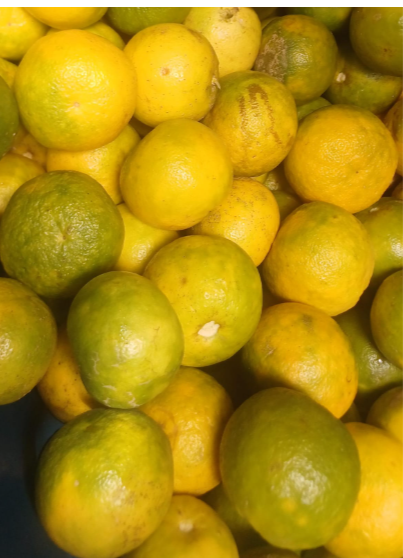 Naranja Agría